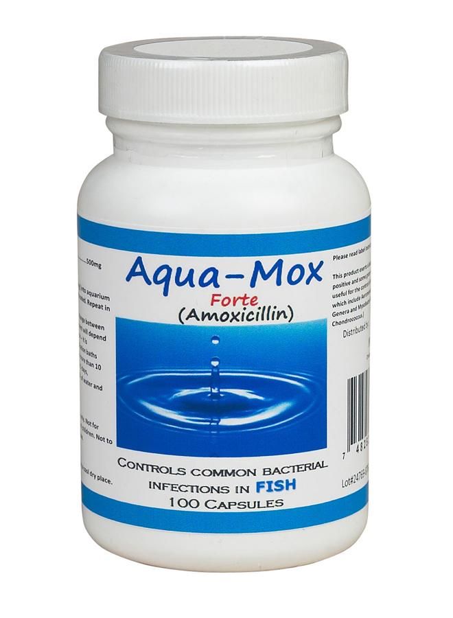 Amoxicillin 500mg
